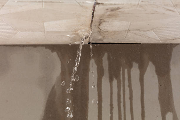 Professional Structural Drying technician working in Fowler, OH